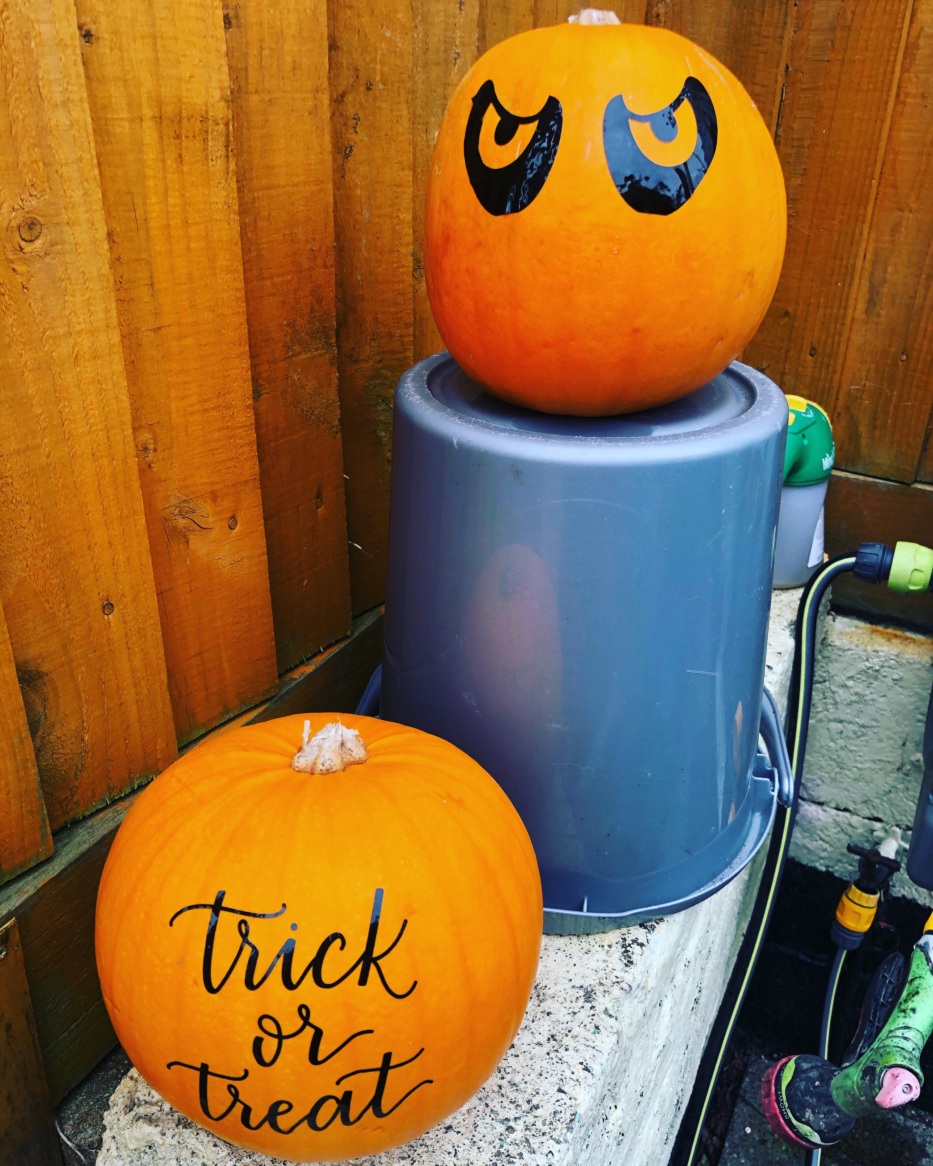 Pumpkin Stickers