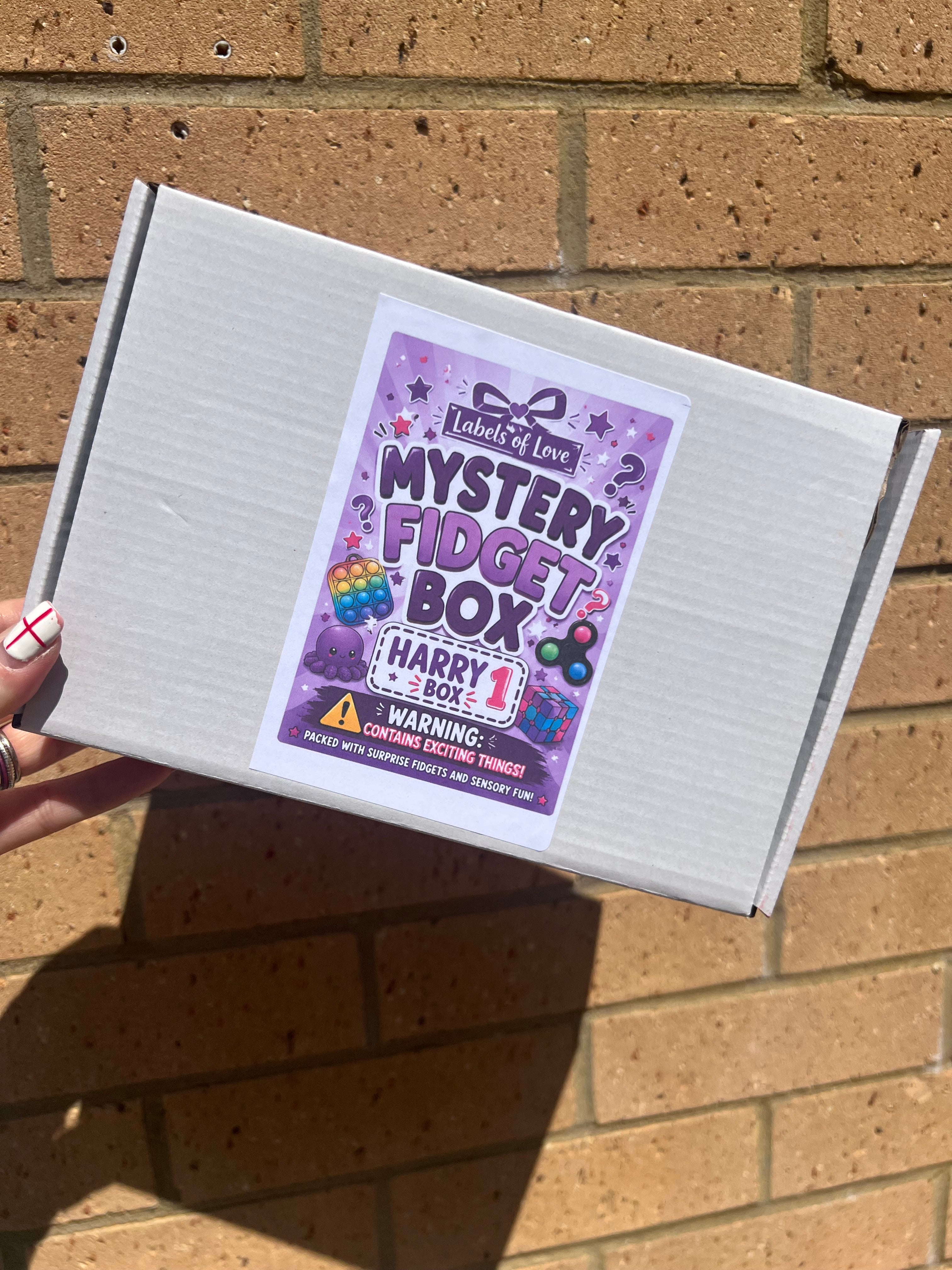 Mystery Fidget Box | Surprise Sensory Toy Gift Box | 3D Printed Fidgets | ADHD & Autism Friendly | Perfect Gift