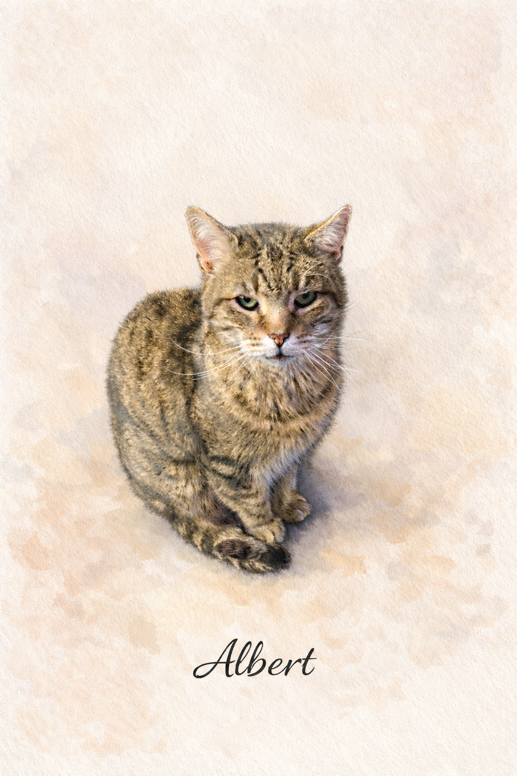 Personalised Pet Portrait | Custom Watercolour Pet Illustration | Dog or Cat Portrait from Photo | Custom Gift